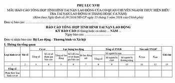 Báo Cáo Tình Hình Lao Động Năm 2023