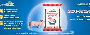 Công Ty Cổ Phẩn Anova Feed Asia Co. Ltd