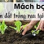 Dẫn Cách Xáo Và Làm Đât Rpvb7Jjdmi4