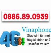 Sim Vina Số Đẹp