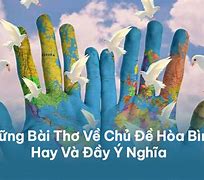 Ý Nghĩa Cuộc Sống Hòa Bình